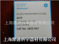 玻璃纤维滤纸ge whatman gf/f 1825-047 0.7um 47mm 1825-047